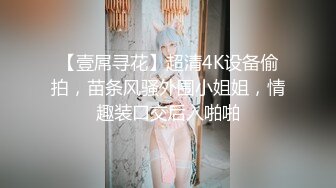 【壹屌寻花】超清4K设备偷拍，苗条风骚外围小姐姐，情趣装口交后入啪啪