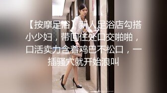 【PH-042】岛国女侍家政妹 下集