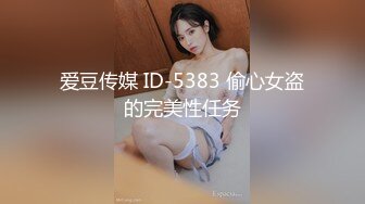 爱豆传媒 ID-5383 偷心女盗的完美性任务