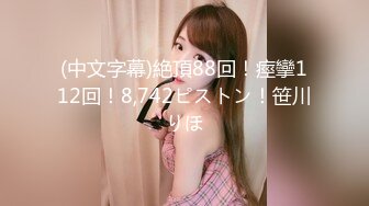 (中文字幕)絶頂88回！痙攣112回！8,742ピストン！笹川りほ