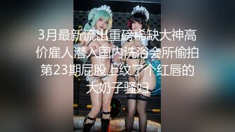 LonelyMeow 2020最后一爽炮