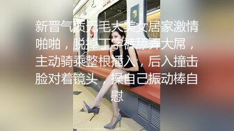 换妻探花两对夫妻KTV唱完K回酒店 进入正题一个一个翘屁股口交