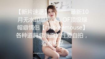  国产TS系列超美的菲菲黑丝透连体衣与直男啪啪激情后入