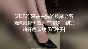 林雅诗 大田友美《big波诱惑》露电片段1clip_by_海盗路飞