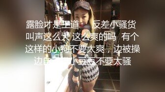 骑士女神的疯狂乘骑