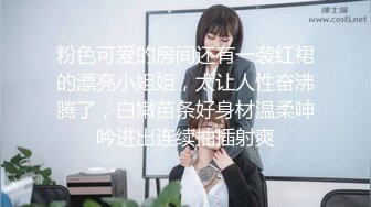 爆插小母狗，站在马桶旁边吃鸡巴，无套插入水乳交融，爽得哇哇叫！