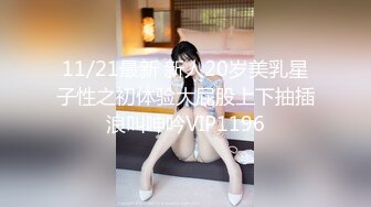 S1十五周年SPCEIAL大合演第一弹～四大超肉体5P！欢迎来到最高级后宫风俗大楼