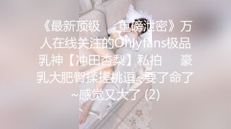 FSDSS-609 压倒的美私下隐藏的情色 田中柠檬AV出道..枫花恋[中字高清](BVPP無碼破解)