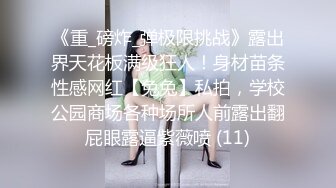 【新片速遞】  ✨高颜值纹身御姐TS「嘉欣」精华小合集 攻受兼备美妖兵弟弟没当兵就认识了退伍就骚过来找干(67p+42v)