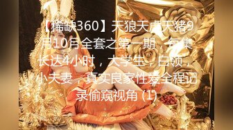 【稀缺360】天狼天虎天猪9月10月全套之第一期，每集长达4小时，大学生，白领，小夫妻，真实良家性爱全程记录偷窥视角 (1)