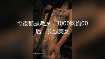 [2DF2]【夜色极品探花】3000网约极品制服妹子，罕见美乳超诱人，近景展示啪啪细节，高清晰设备效果极佳 -  [BT种子]