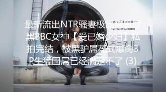 最新流出NTR骚妻极品崇黑讨黑BBC女神【爱已婚少妇】私拍完结，被黑驴屌花式爆肏3P生猛国屌已经满足不了 (3)