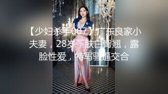 魔劍公主的性感騷姿 3