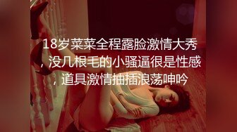 12/27最新 精心整理超多极品女神级美女性感火辣操逼VIP1196