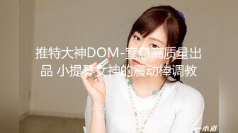 推特大神DOM-窒息高质量出品 小提琴女神的震动棒调教