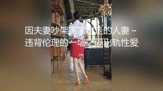 因夫妻吵架离家出走的人妻～违背伦理的一墙之隔出轨性爱～