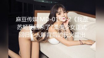 麻豆传媒 MD-0190-2《我是苏畅我回来了?柔美少女正式回归》人群背后的玩火露出