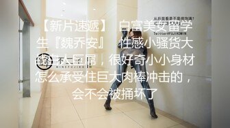 MD-0069 爆乳肉便器 被痴汉尾随迷奸多人轮番上阵泄欲 超人气女优吴梦梦激情演绎.麻豆传媒映画