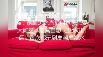 MDHG0015 麻豆传媒 这个面试有点硬 美系惹火的小恶魔 梁若轩