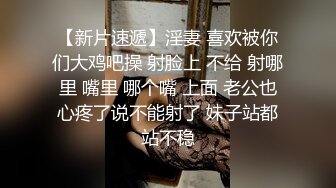 沈阳单男大战翘臀少妇2