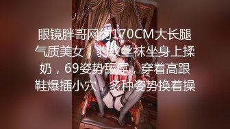 眼镜胖哥网约170CM大长腿气质美女，豹纹丝袜坐身上揉奶，69姿势舔屌，穿着高跟鞋爆插小穴，多种姿势换着操