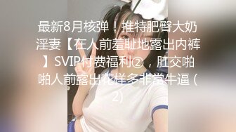 最新8月核弹！推特肥臀大奶淫妻【在人前羞耻地露出内裤】SVIP付费福利②，肛交啪啪人前露出花样多非常牛逼 (2)