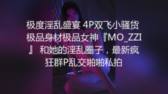 【三级】《以访问之名诱惑做爱》