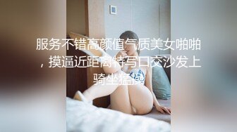 商场女厕全景偷拍制服美女职员的极品小黑鲍