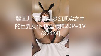 黎菲儿-元宇宙 梦幻现实之中的巨乳女仆 挑逗版[120P+1V/824M]