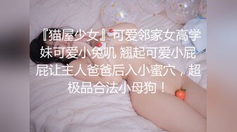 坐骑水晶棒自慰