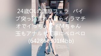 石化女子○生コレクターズファイル 爱像版