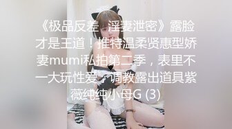 《极品反差✅淫妻泄密》露脸才是王道！推特温柔贤惠型娇妻mumi私拍第二季，表里不一大玩性爱，调教露出道具紫薇纯纯小母G (3)